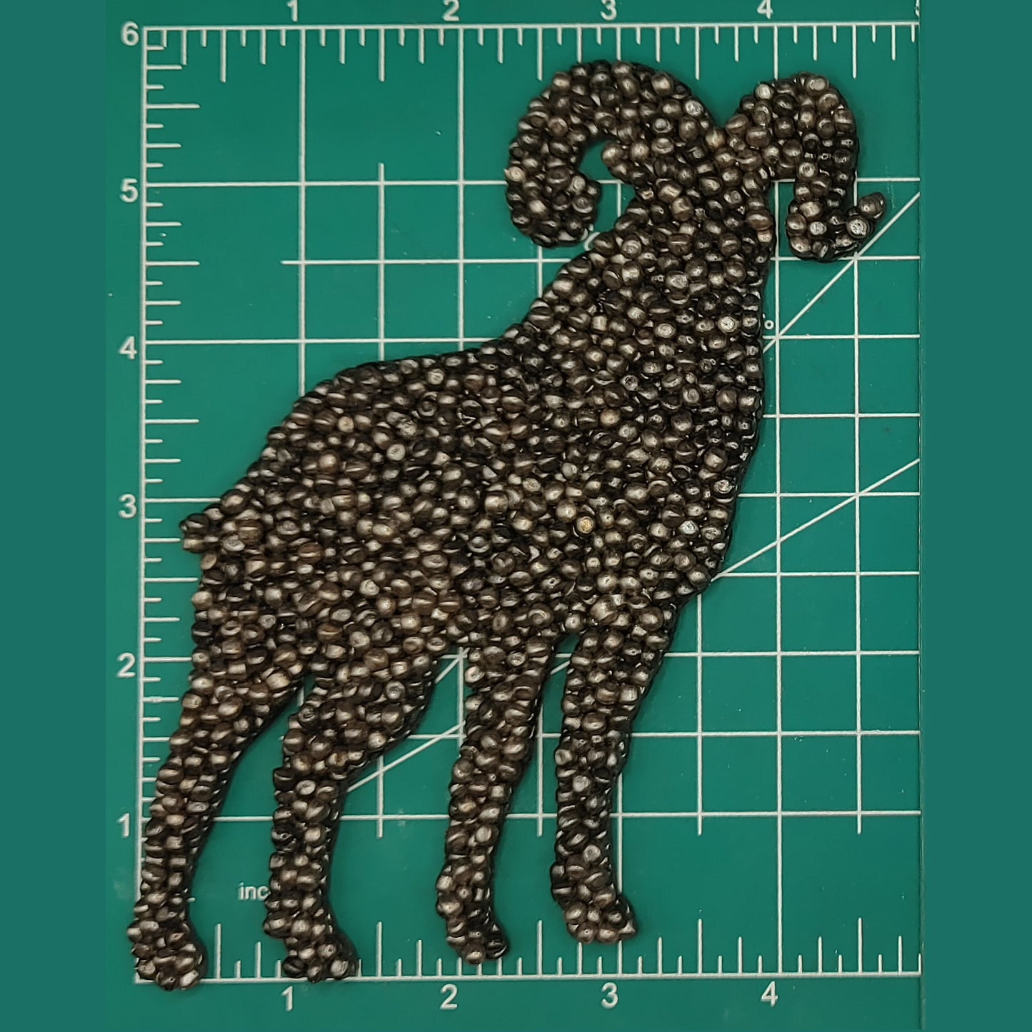 Bighorn Sheep - Flat Front - Silicone Freshie Mold