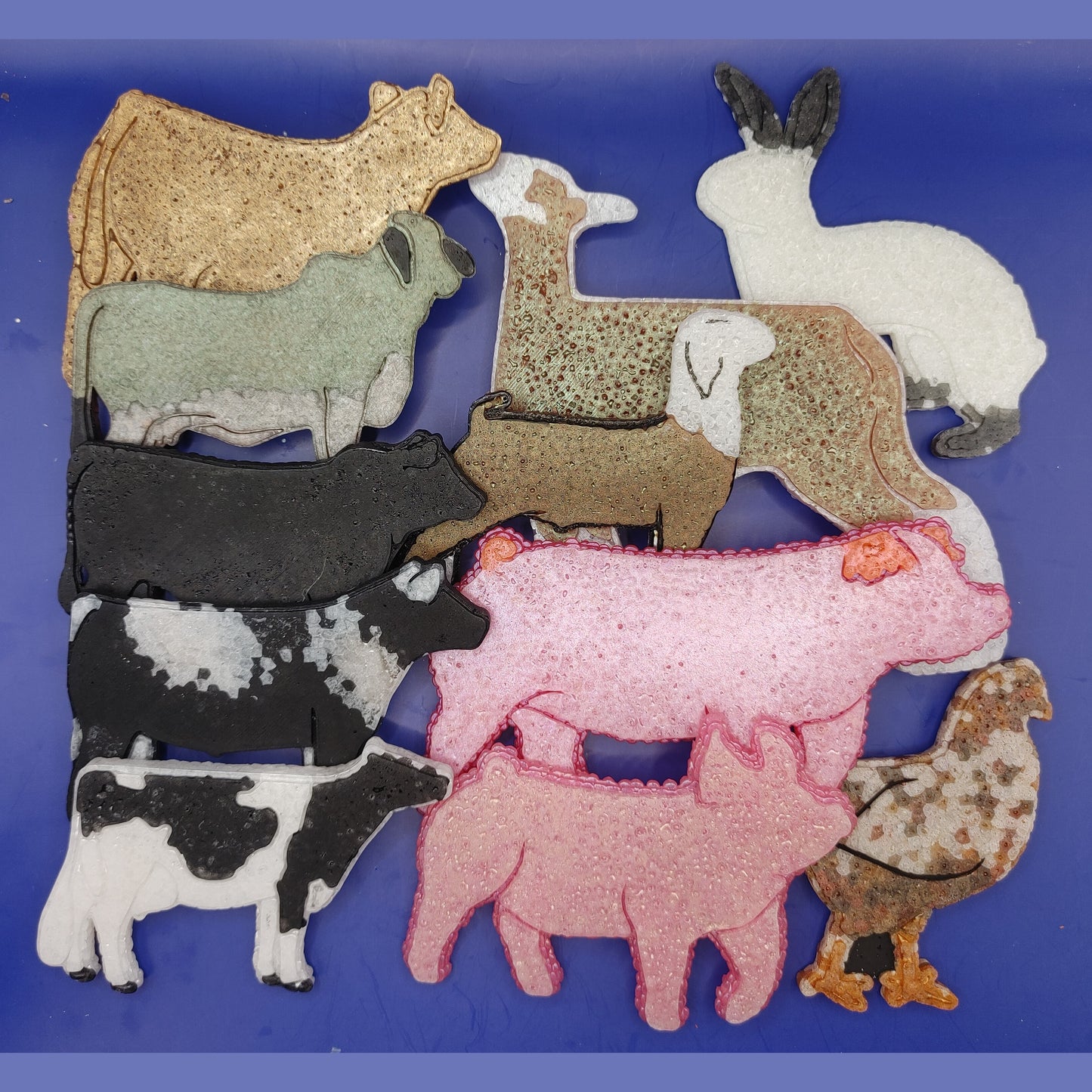 Show Animals