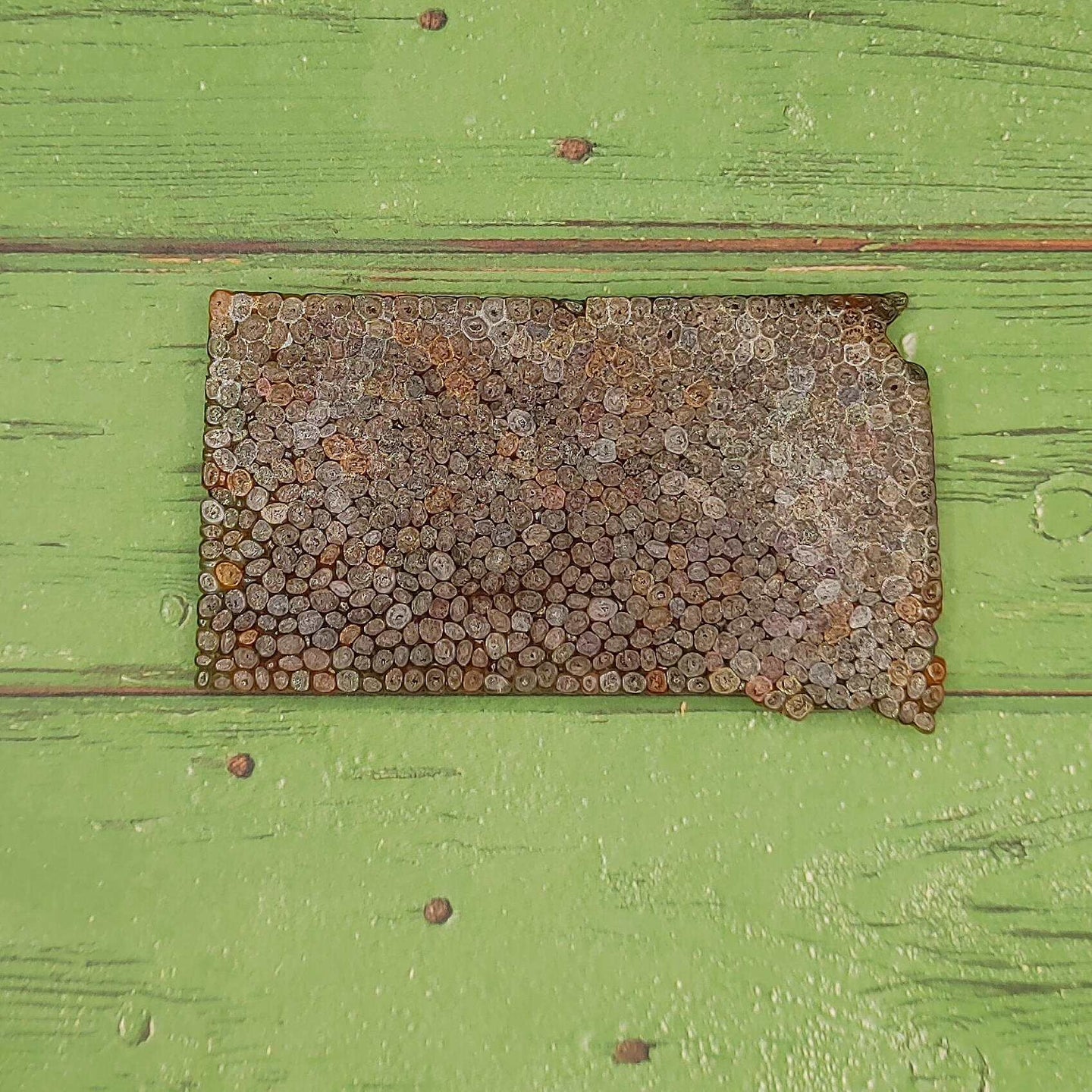 South Dakota - Flat Front - Silicone Freshie Mold