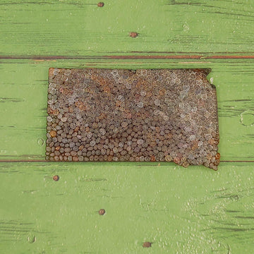 South Dakota - Flat Front - Silicone Freshie Mold