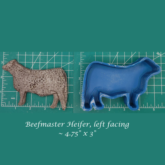 Beefmaster Heifer- Silicone Freshie Mold