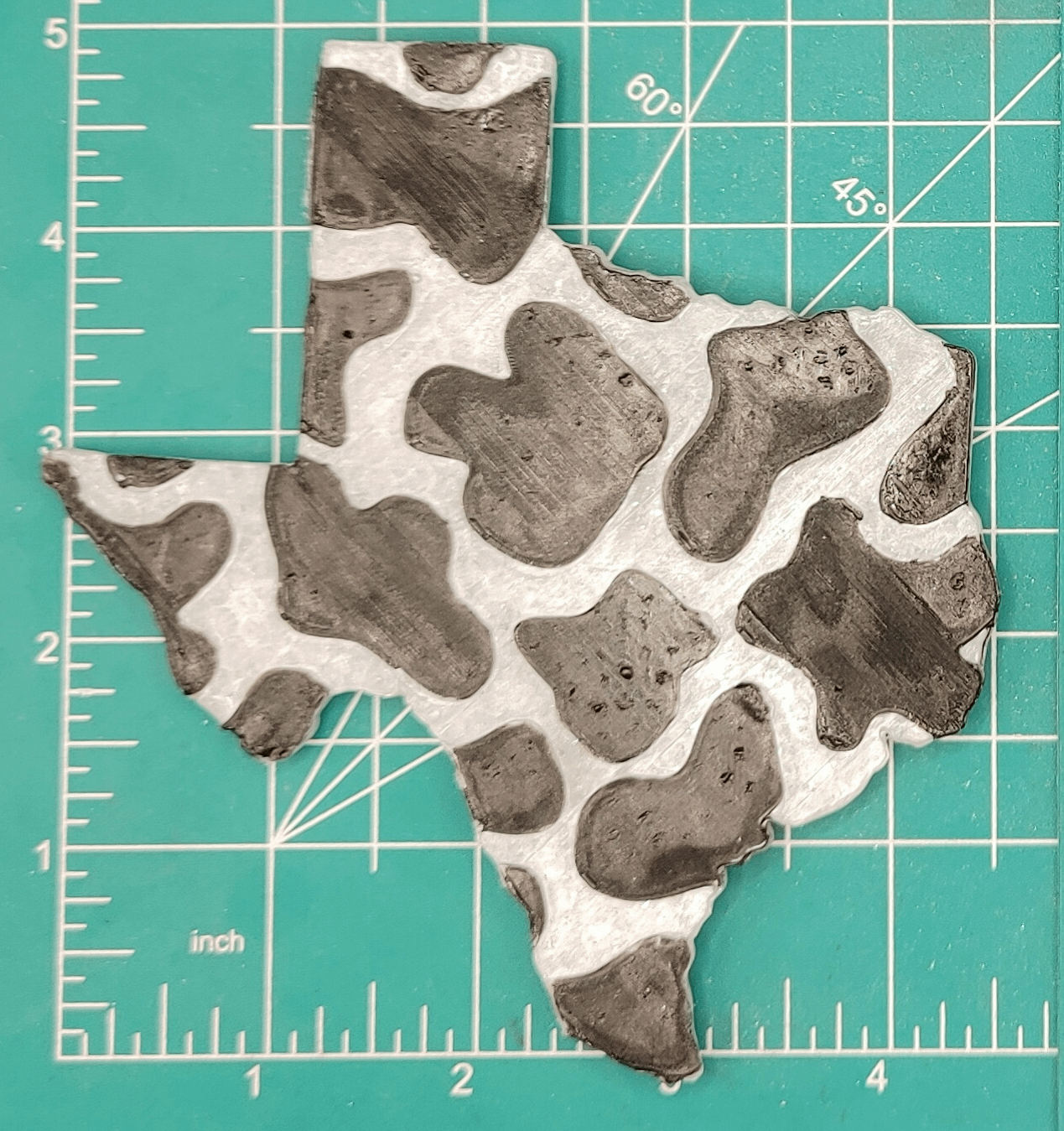Texas State - Freshie Mold Inserts
