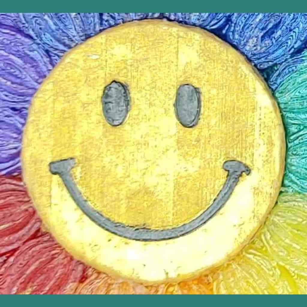 2" Circle Inserts - Silicone Freshie Mold